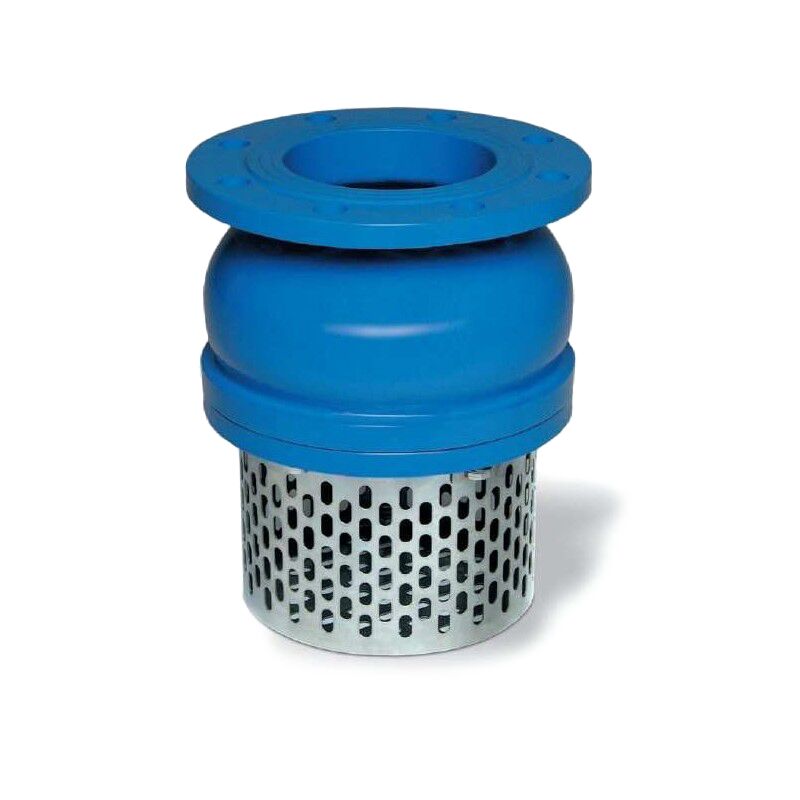 Válvula de pie DN250 filtro acero inoxidable Válvula de pie DN250 filtro acero inoxidable